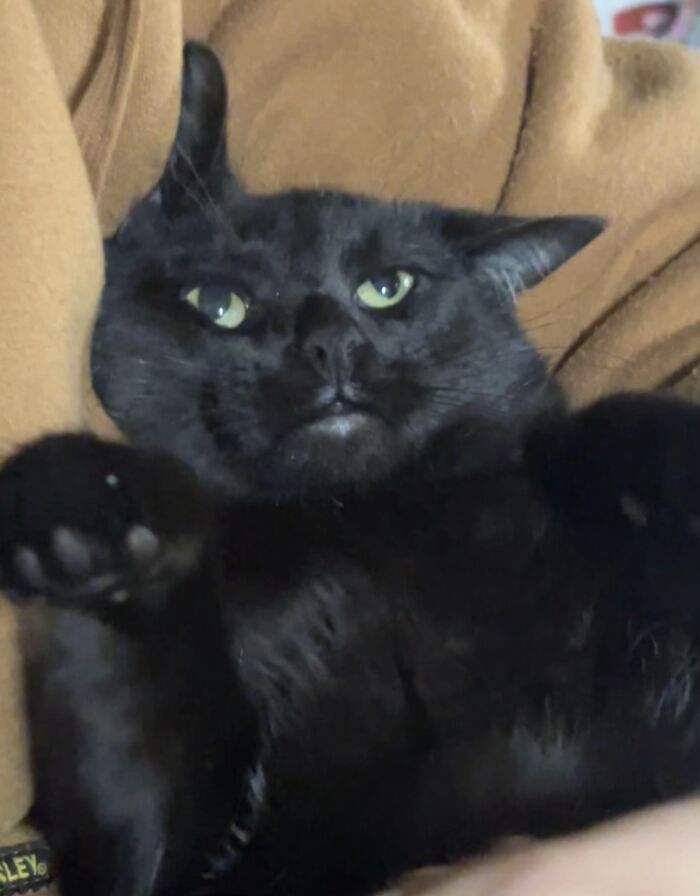 He Was Mad And Throwing A Fit, No Joke