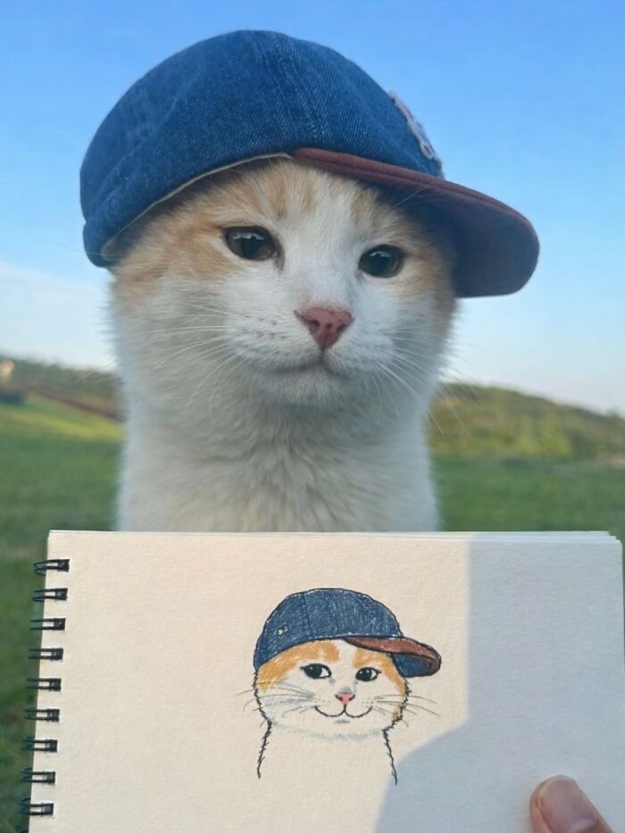 Let's Dive into 80 Hilarious Cat Pics That Perfectly Show Their Weird Side