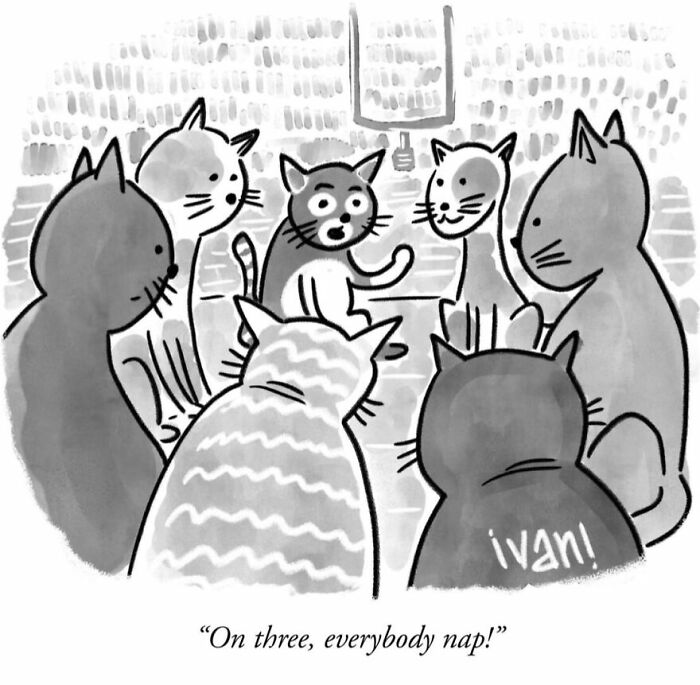 Wait, These One-Panel Comics Totally Caught Us Off Guard!