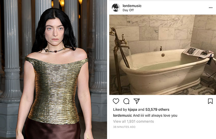 Lorde Accidentally Made Fun Of Whitney Houston’s Tragic Death (Oopsy)