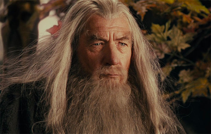 Gandalf - The Chill Wizard of Middle-earth