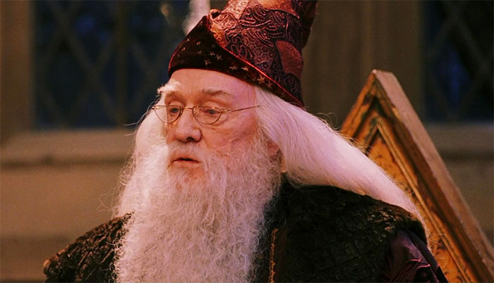 Albus Dumbledore - The Legendary Headmaster