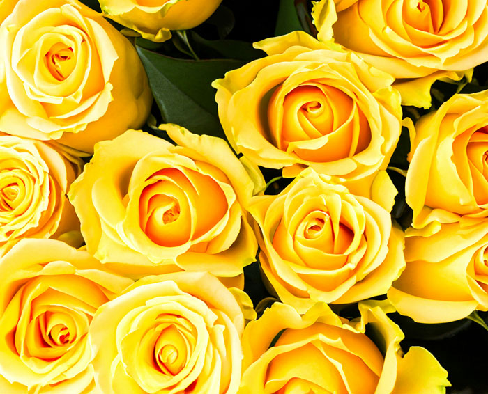 The 51 Funniest Relationship Secrets People Swear They’ll Never Spill