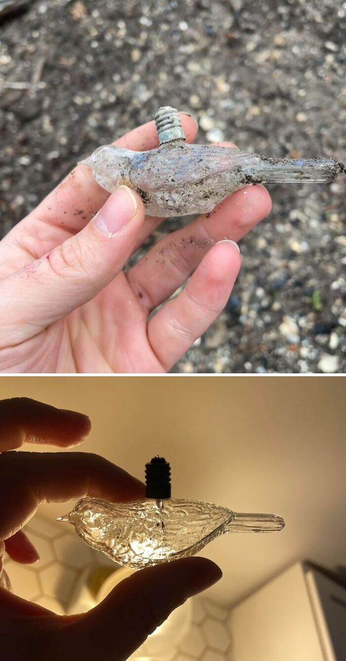 Found a 1930s Japanese Bird Light Bulb in a Dump—What?!