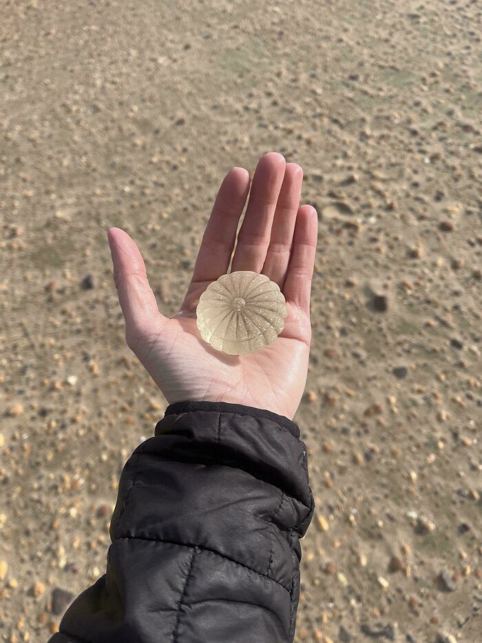 Wait Till You See These 97 Glass Pieces That Will Totally Blow Your Mind!