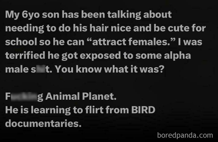 Maybe They Were Just Birdwatching...