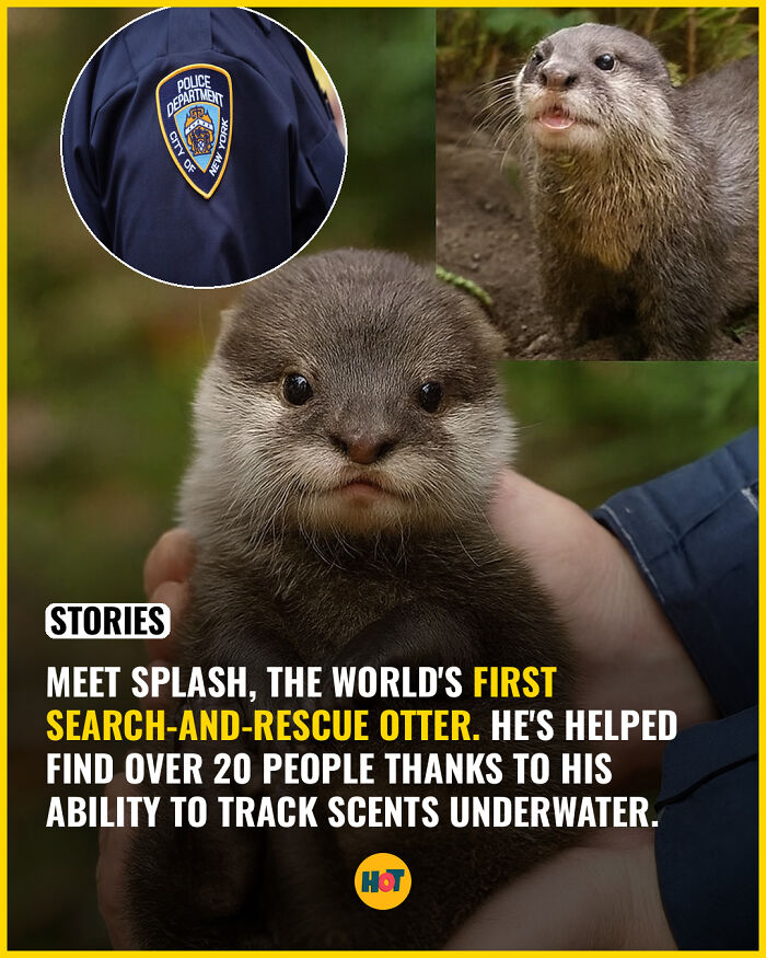 81 Mind-Blowing Facts That'll Totally Make Your Day