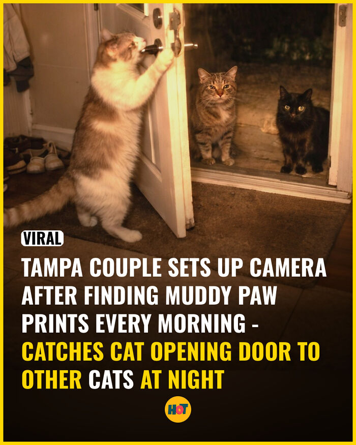 81 Mind-Blowing Facts That'll Totally Make Your Day