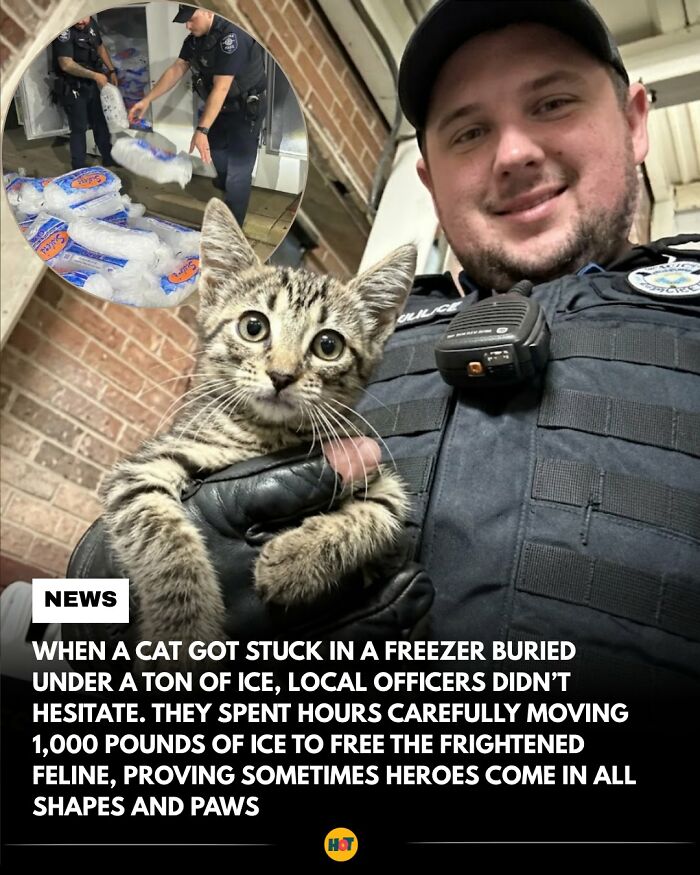 81 Mind-Blowing Facts That'll Totally Make Your Day