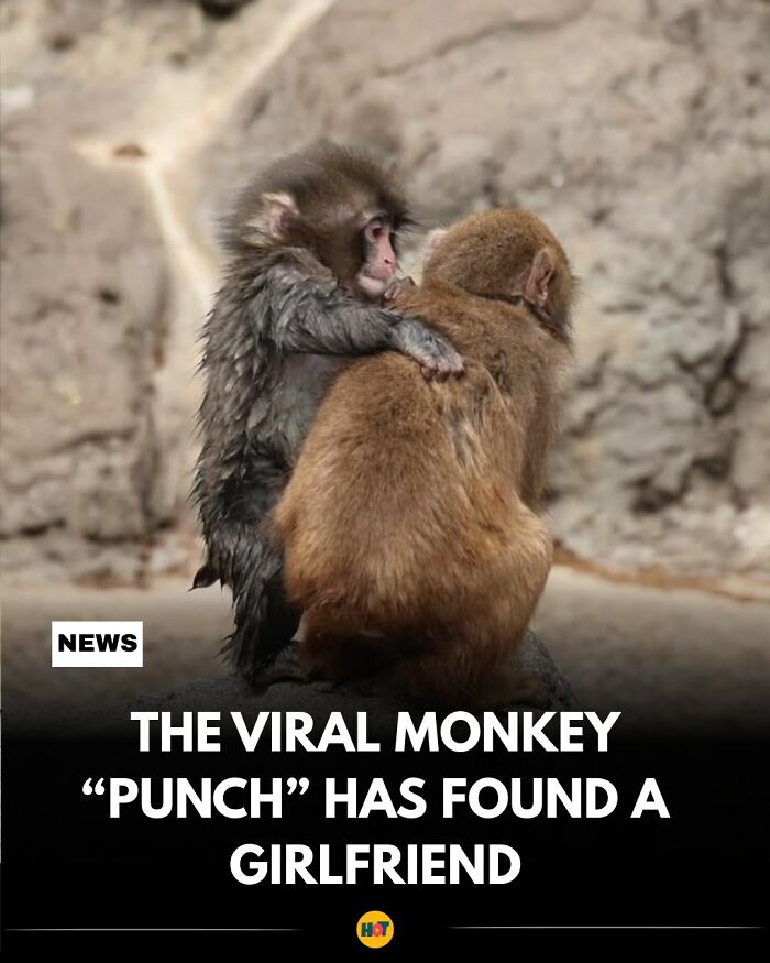 81 Mind-Blowing Facts That'll Totally Make Your Day