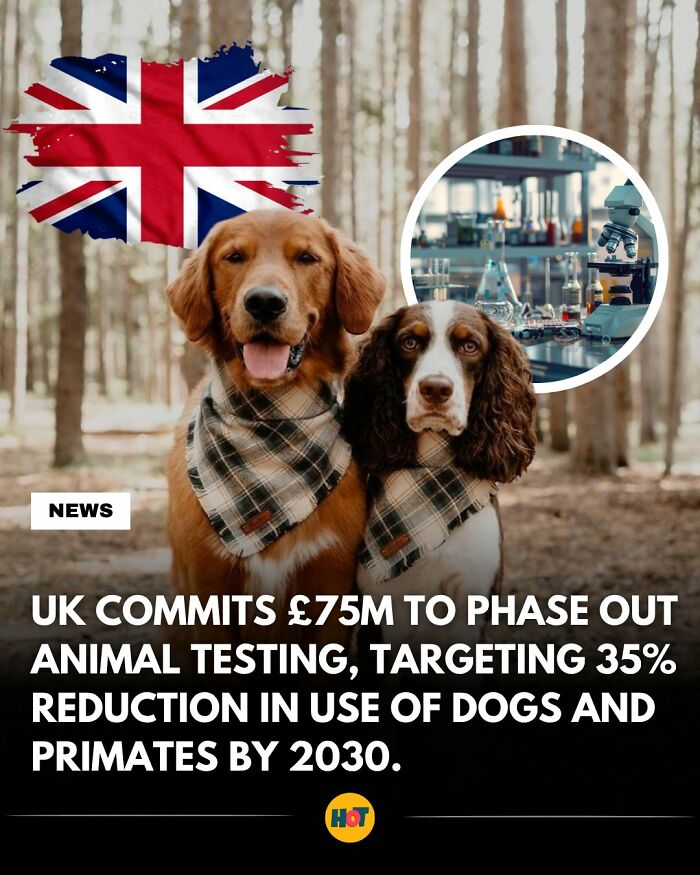 81 Mind-Blowing Facts That'll Totally Make Your Day