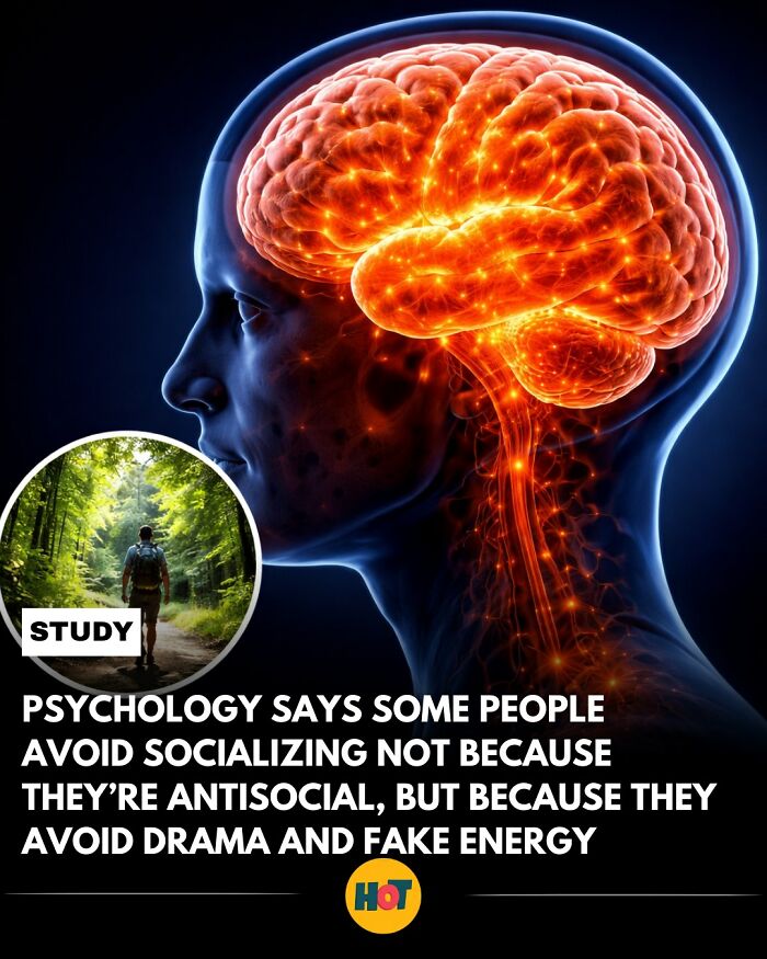 81 Mind-Blowing Facts That'll Totally Make Your Day