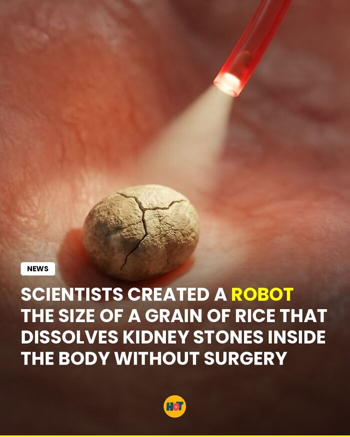 81 Mind-Blowing Facts That'll Totally Make Your Day