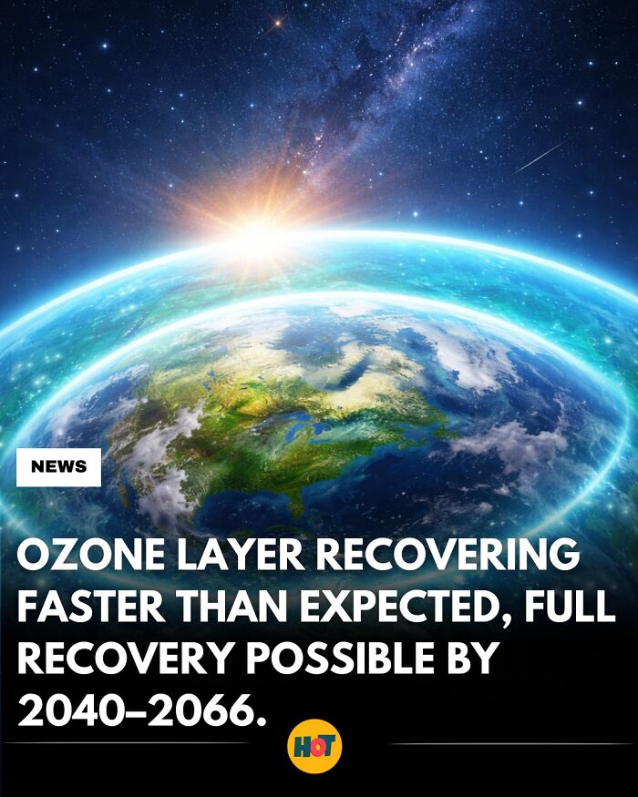 81 Mind-Blowing Facts That'll Totally Make Your Day