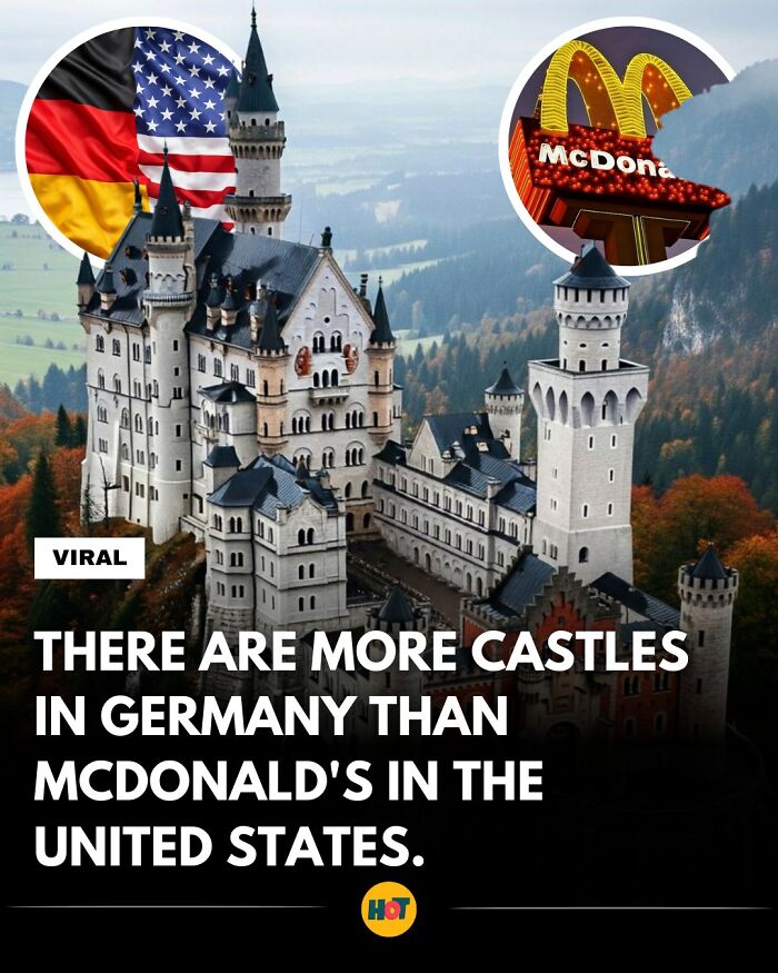 81 Mind-Blowing Facts That'll Totally Make Your Day