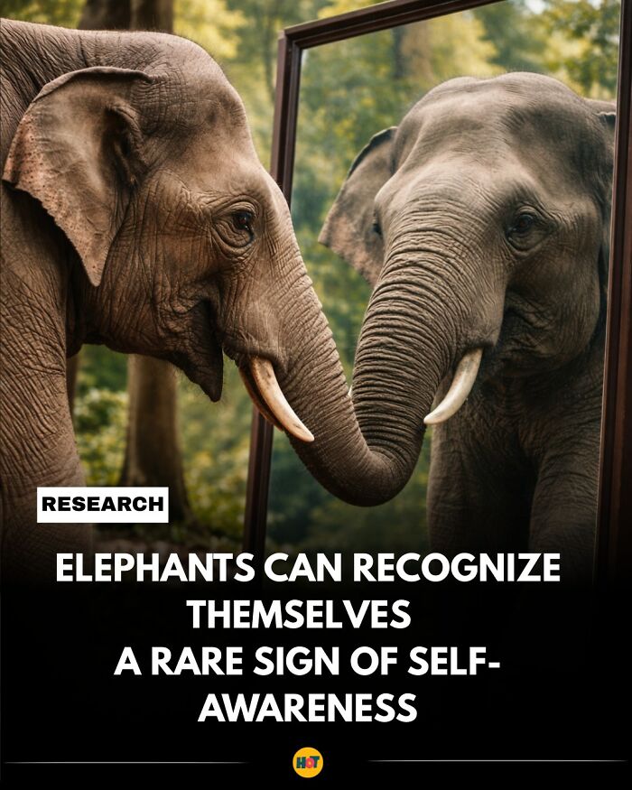 81 Mind-Blowing Facts That'll Totally Make Your Day