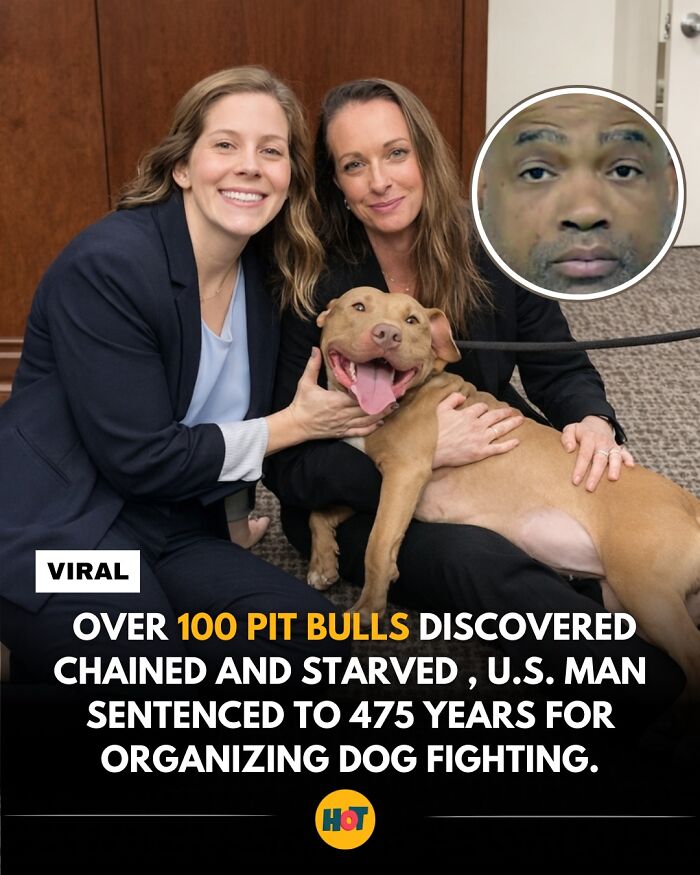 81 Mind-Blowing Facts That'll Totally Make Your Day