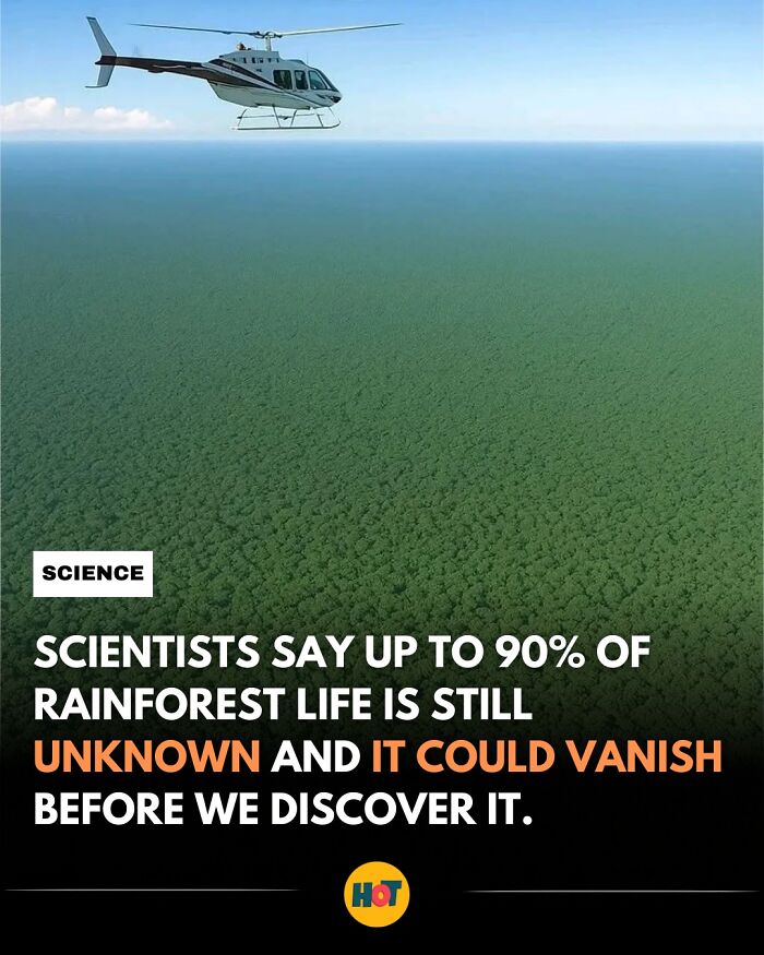 81 Mind-Blowing Facts That'll Totally Make Your Day