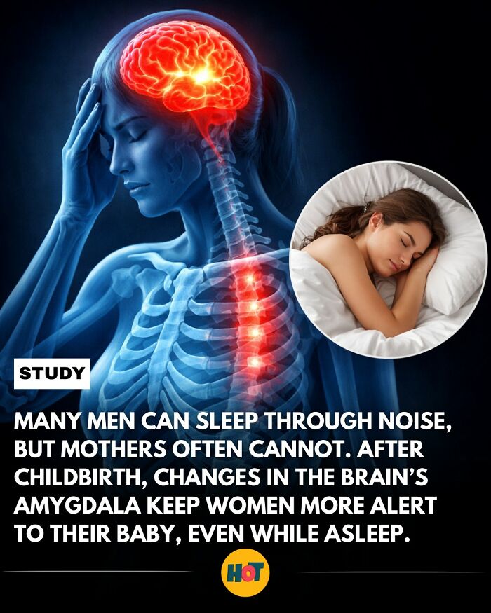 81 Mind-Blowing Facts That'll Totally Make Your Day