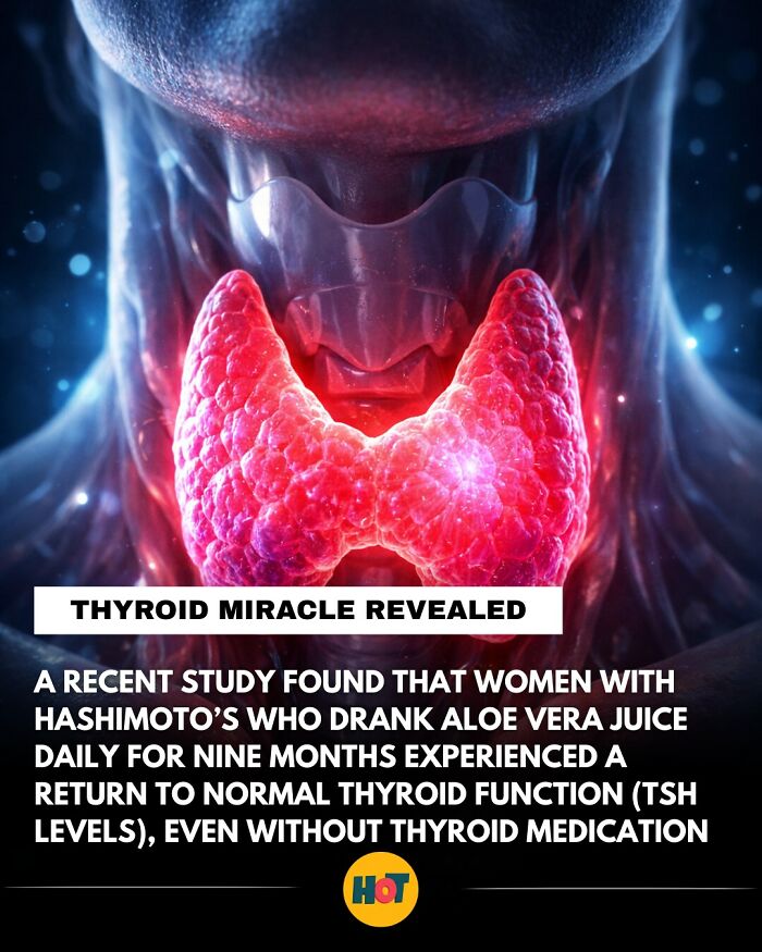 81 Mind-Blowing Facts That'll Totally Make Your Day