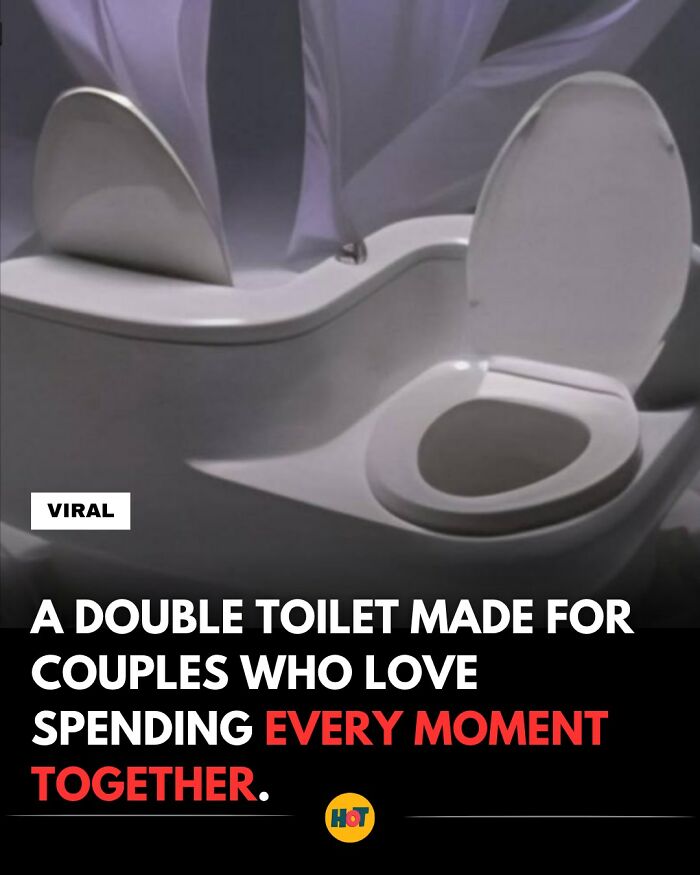 81 Mind-Blowing Facts That'll Totally Make Your Day