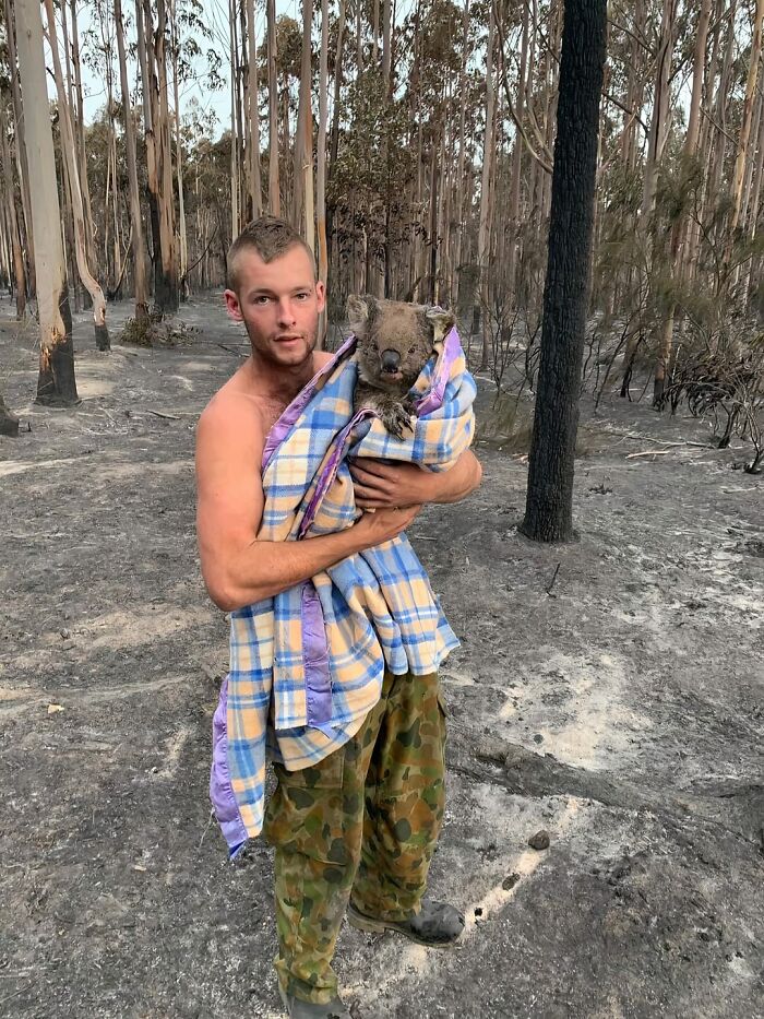 Meet Patrick: Koala Savior Extraordinaire