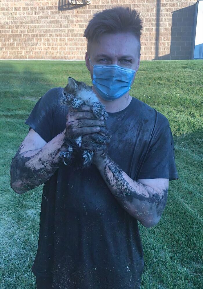 Kitten Pulled from the Sewers – Now a VIP at Home!