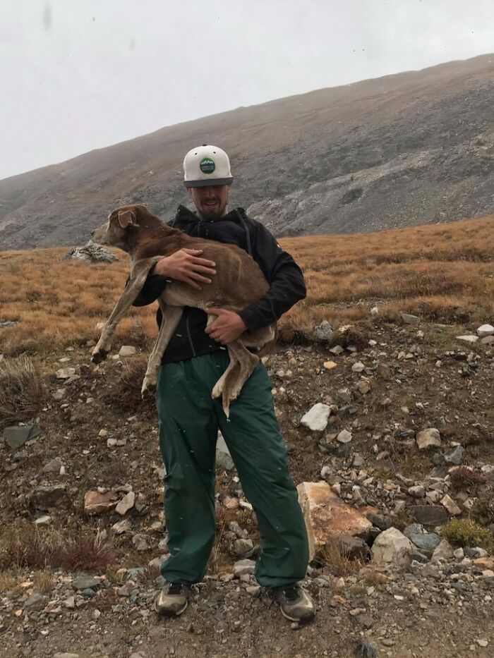 Mountain Rescue: Dog Edition