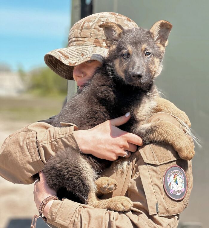 Ukrainian Soldier Puppy Rescuer