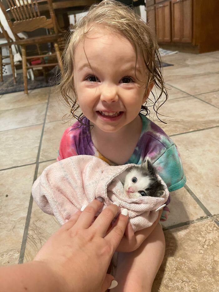Rainy Day Kitten Rescue with My Daughter
