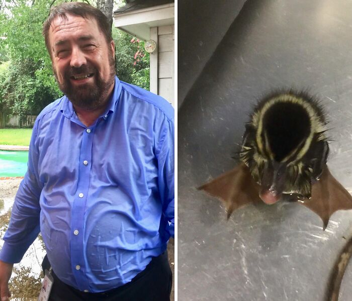 Dad’s Pool Dive to Save a Duckling: Hero Mode On