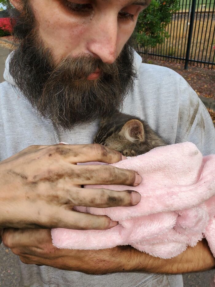6 Hours, 10 People, 7 Cars: The Great Kitty Rescue