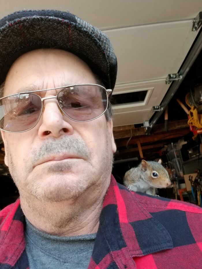 Golden Retriever + Rescued Squirrel = Best Buds