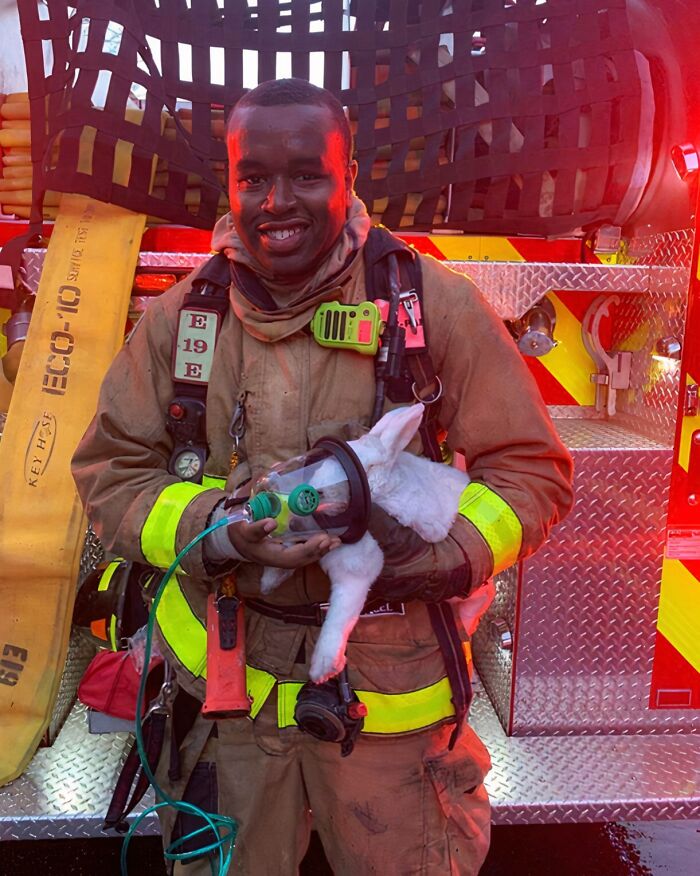 Firefighter Oxygen Mask for Rescued Bunnies? Absolutely!