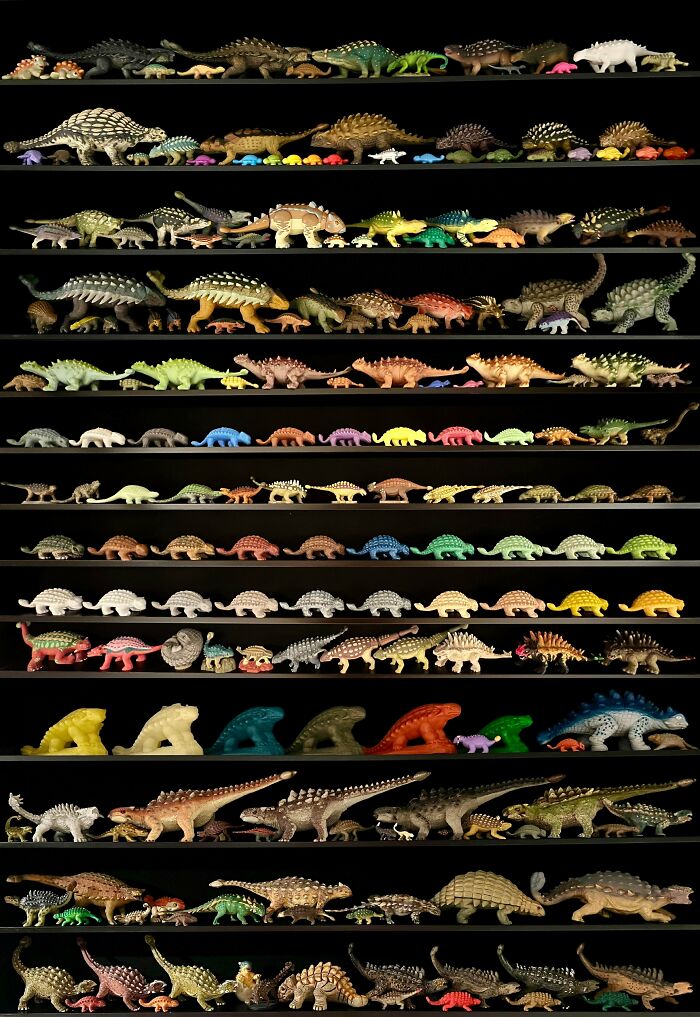 Dinosaur Fan Alert: Ankylosaurus Collectors Unite!