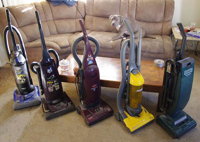 Roommate’s Strange Vacuum Collection (Dog Was Totally Not Impressed)