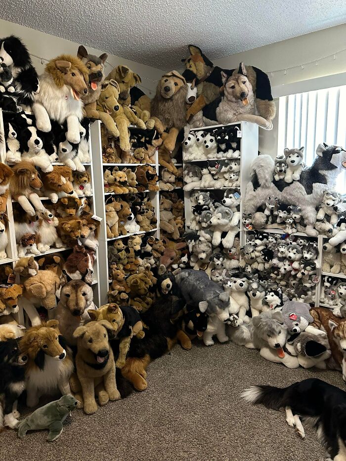 Dog & Wolf Collector Who Loves The Good Boys And Badasses