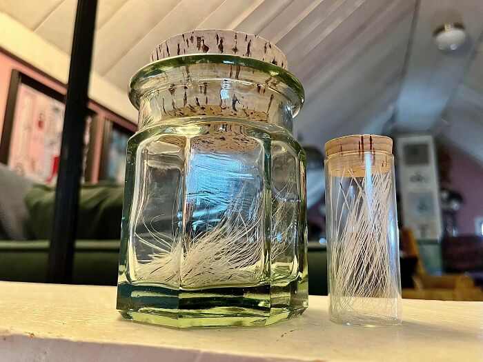 Whisker Collection That’s Surprisingly Impressive (300 In A Jar!)