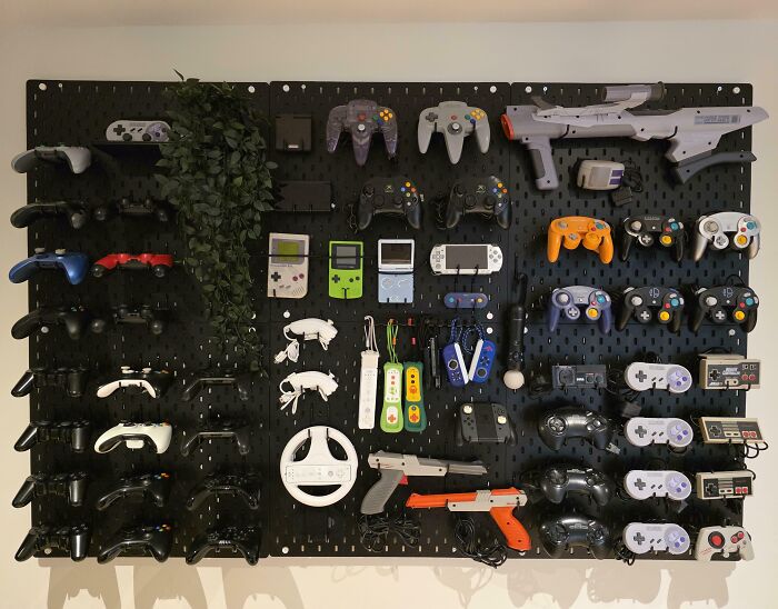 Finally A Collection Display That’s Totally Pinterest-Worthy