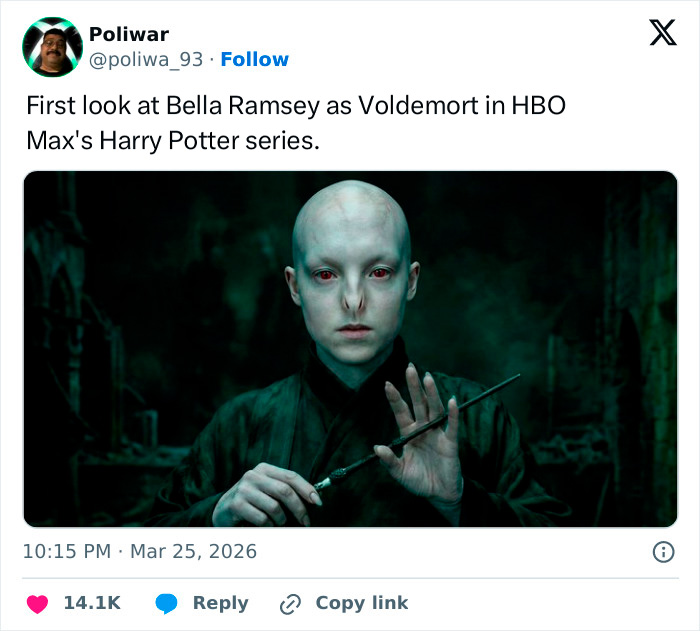 33 Hilarious Memes About the New HBO Harry Potter Series That'll Make You LOL