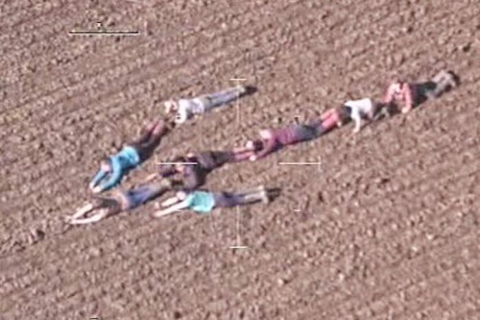 These Wild True Stories Are So Crazy, You'll Say ‘No Way!’