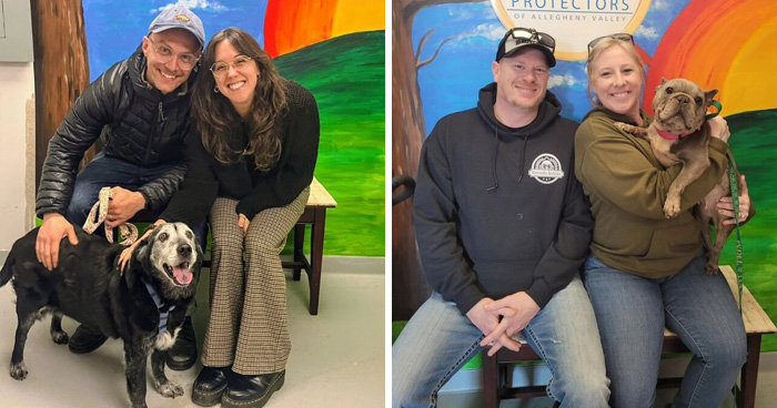 Dogs Pick Their Humans? This Shelter Made It Happen And It’s Adorable (42 Pics + 1 Video)