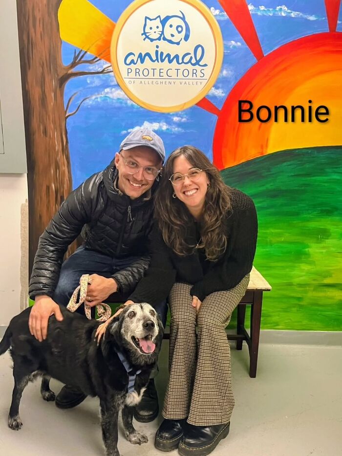 Dogs Pick Their Humans? This Shelter Made It Happen And It's Adorable (42 Pics + 1 Video)