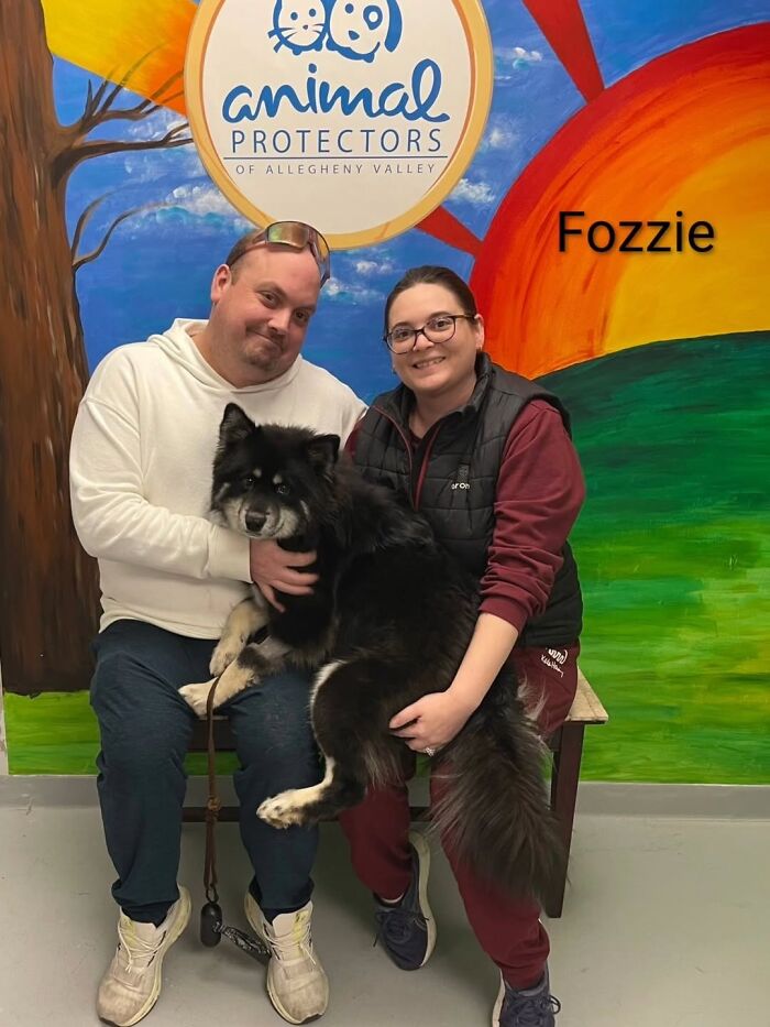 Dogs Pick Their Humans? This Shelter Made It Happen And It's Adorable (42 Pics + 1 Video)