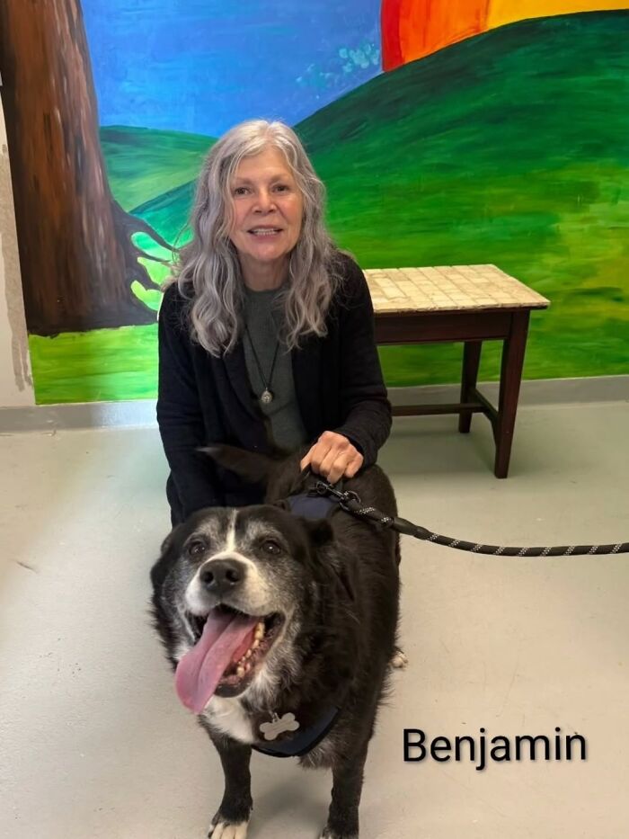 Dogs Pick Their Humans? This Shelter Made It Happen And It's Adorable (42 Pics + 1 Video)