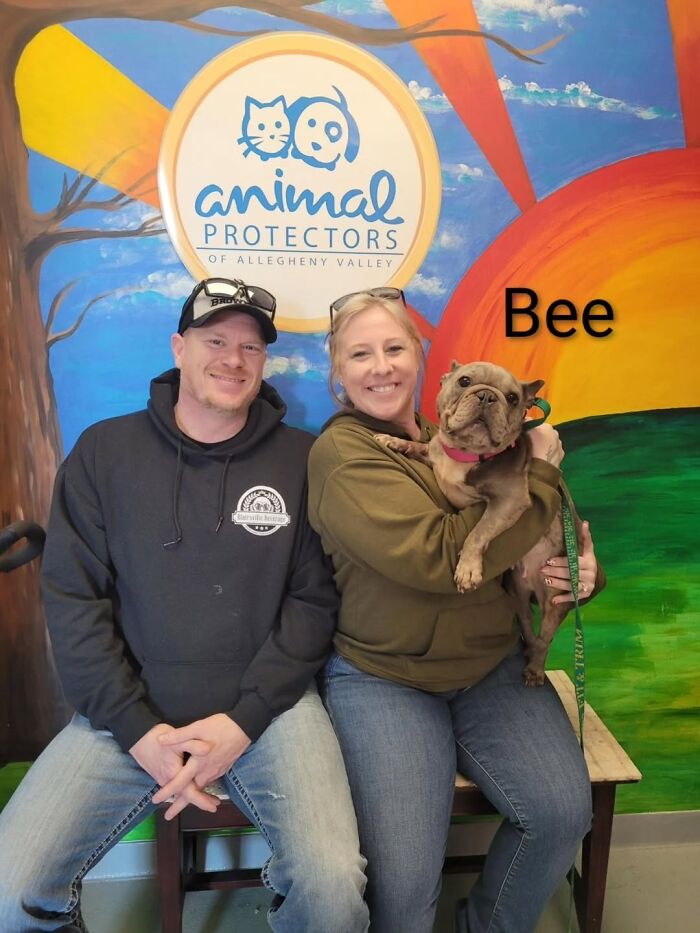 Dogs Pick Their Humans? This Shelter Made It Happen And It's Adorable (42 Pics + 1 Video)