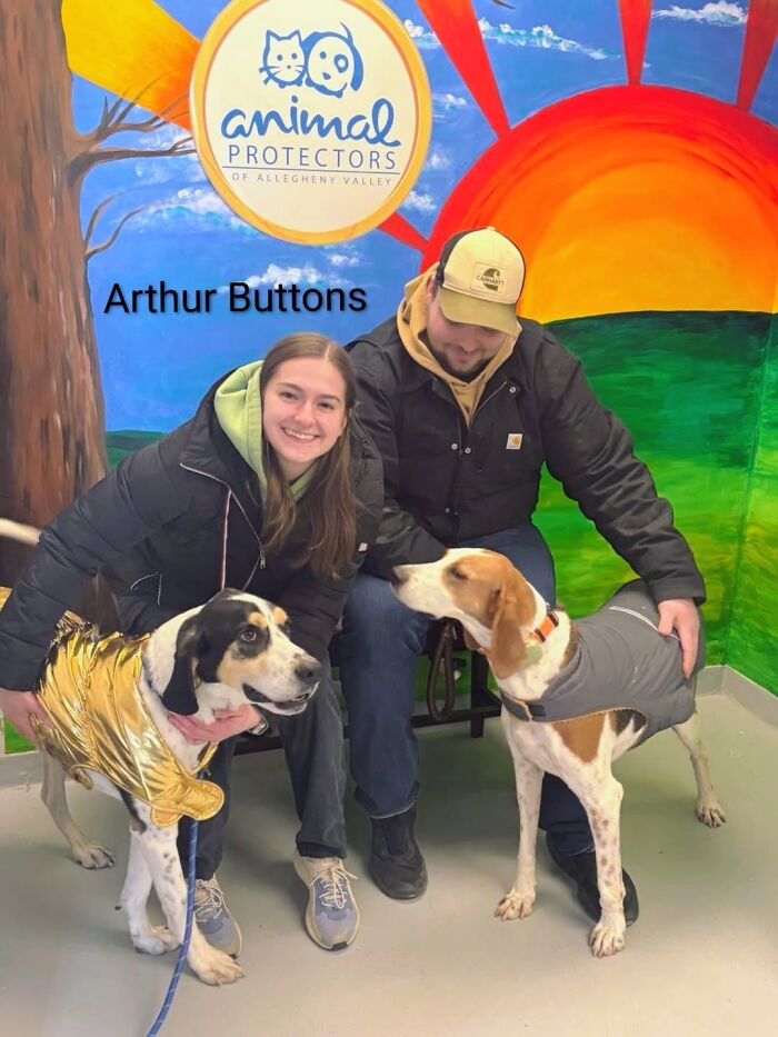 Dogs Pick Their Humans? This Shelter Made It Happen And It's Adorable (42 Pics + 1 Video)