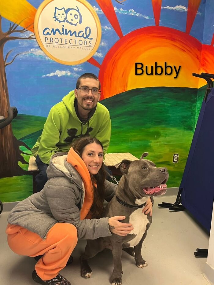 Dogs Pick Their Humans? This Shelter Made It Happen And It's Adorable (42 Pics + 1 Video)