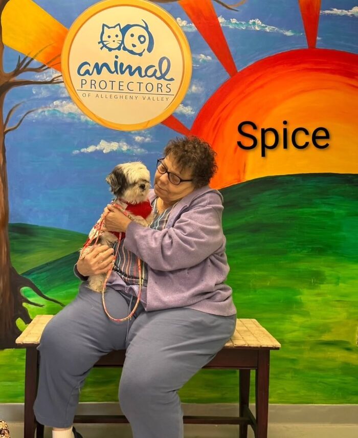 Dogs Pick Their Humans? This Shelter Made It Happen And It's Adorable (42 Pics + 1 Video)