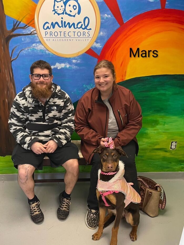 Dogs Pick Their Humans? This Shelter Made It Happen And It's Adorable (42 Pics + 1 Video)